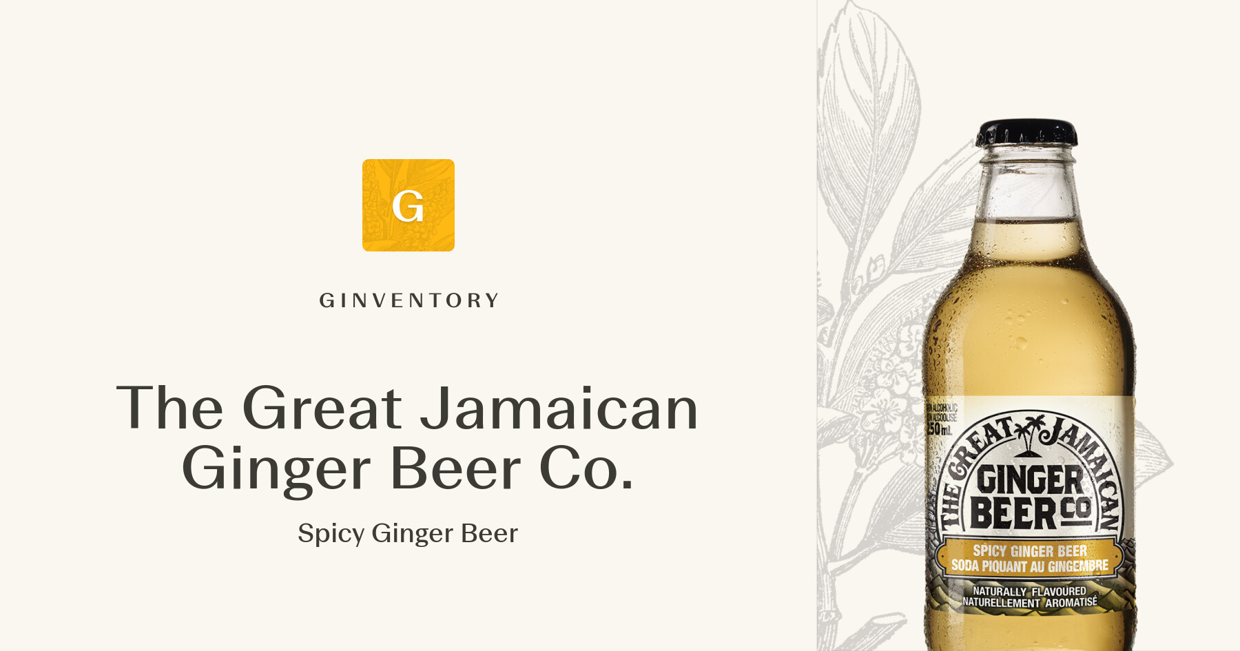 The Great Jamaican Ginger Beer Co. - Spicy Ginger Beer — Tónicas ...